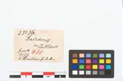 Etikett zu Bronzebrillenfibel (NHMW-PRAE-025136)